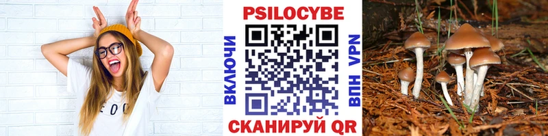 маркетплейс клад  продажа наркотиков  Белебей  Псилоцибиновые грибы Psilocybine cubensis 