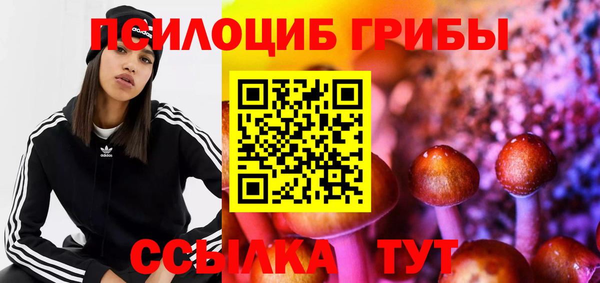 Псилоцибиновые грибы Cubensis Белебей